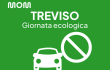 Giornata ecologica Treviso