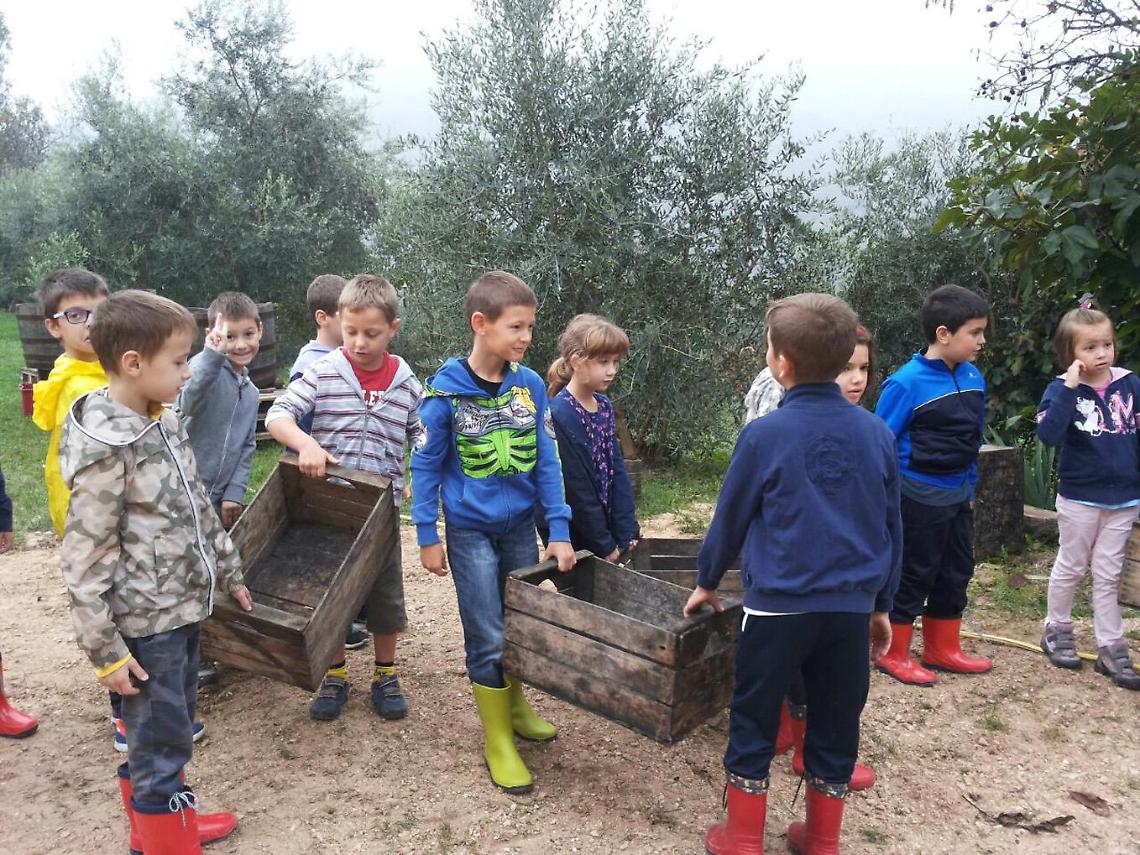 colli laboratori1
