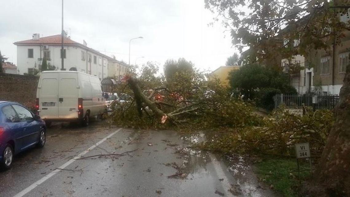 este maltempo alberi