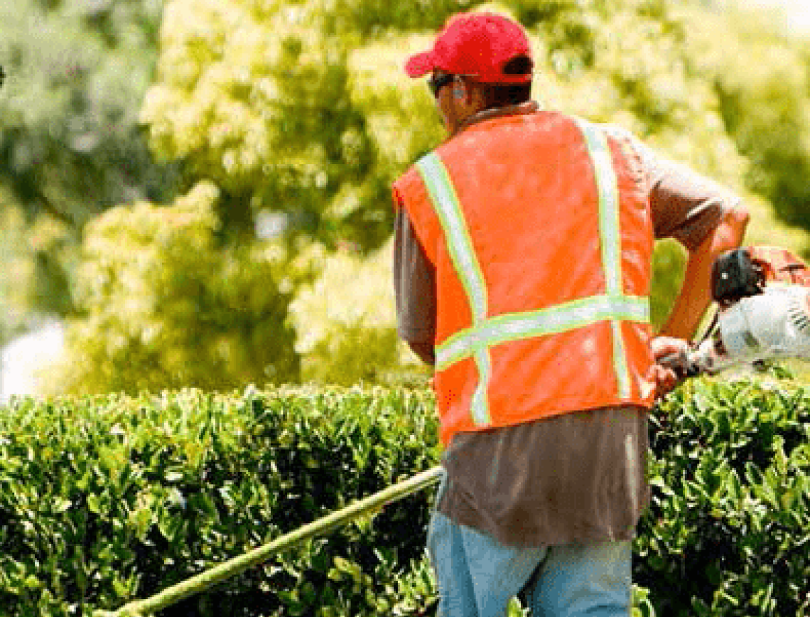 lavoro socialmente utile