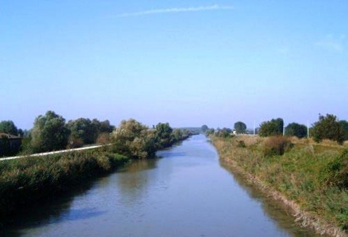 Gorzone a Cavarzere-1