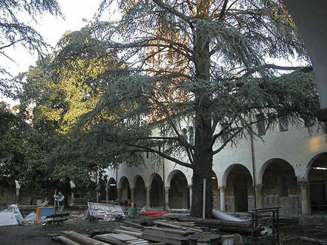 accademia artigianato artistico