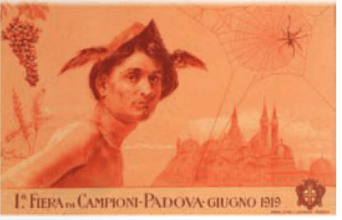 campionaria old