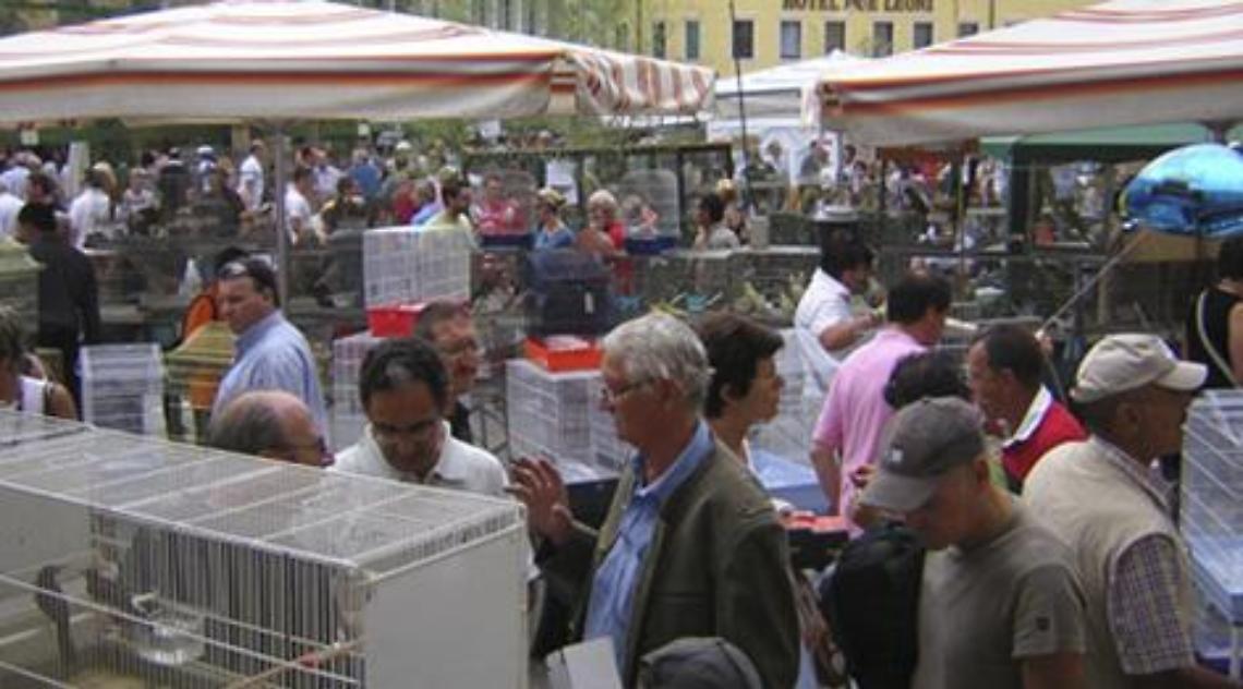 Fiera uccelli