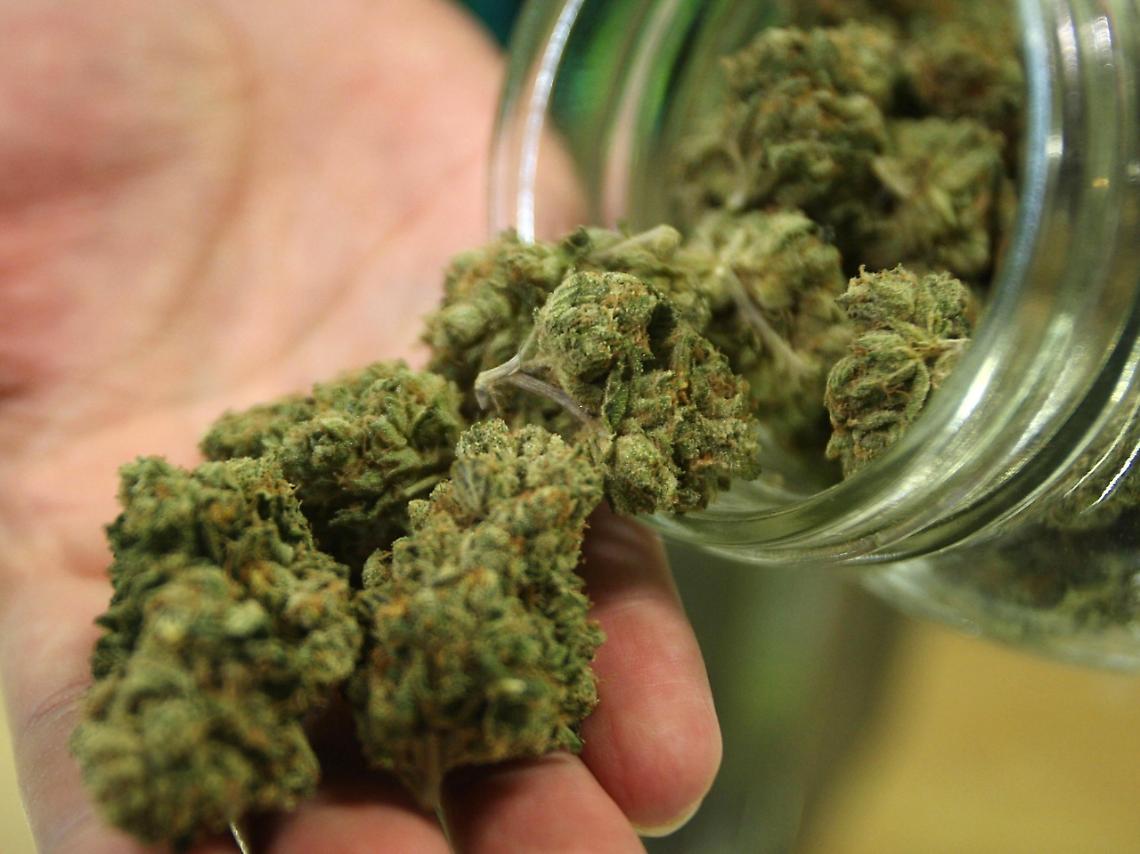 Patente sospesa per tracce di marijuana? Il giudice di Treviso dice no, attesa per la Consulta