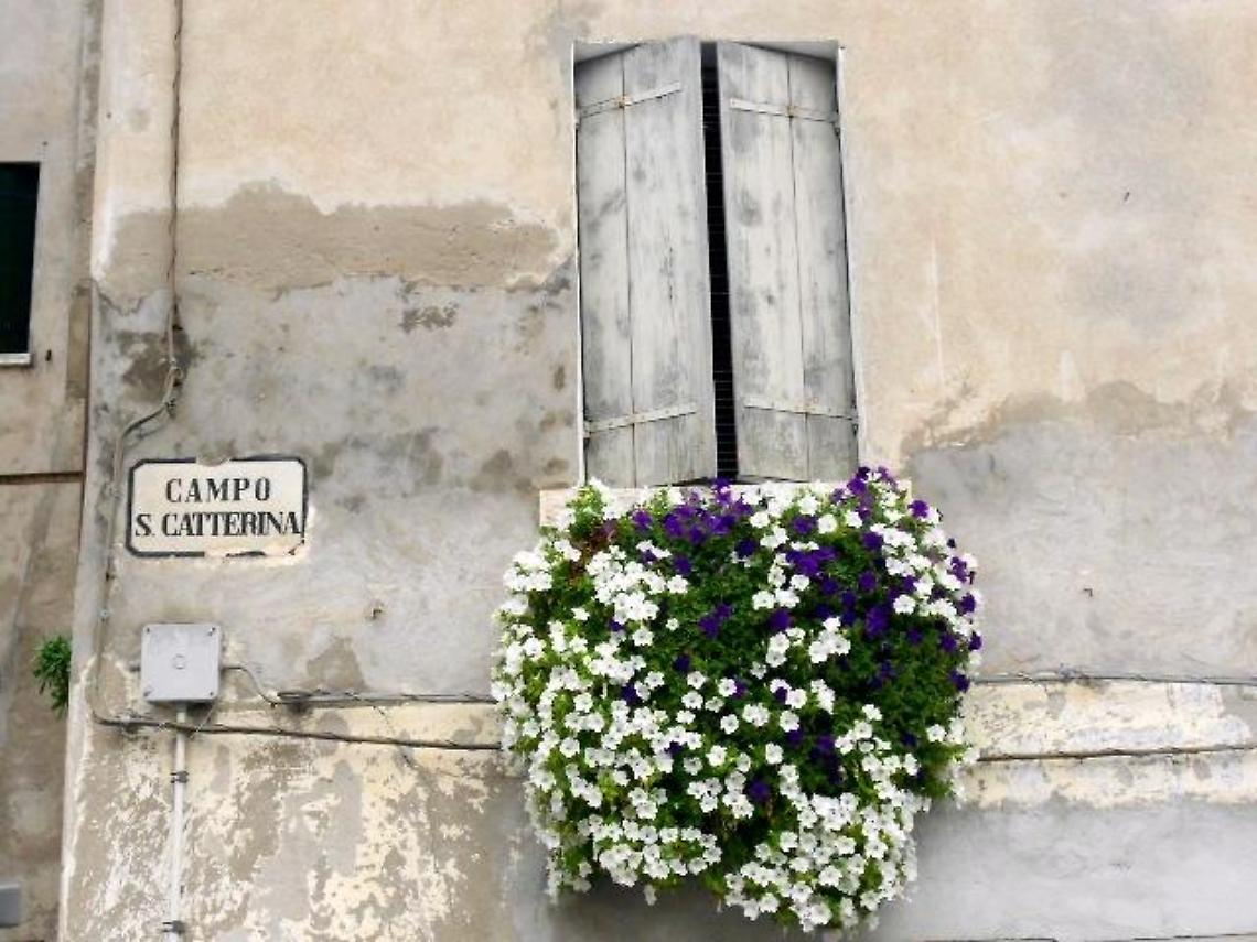 2.IMPAGINE_CAMPO-S-CATTERINA