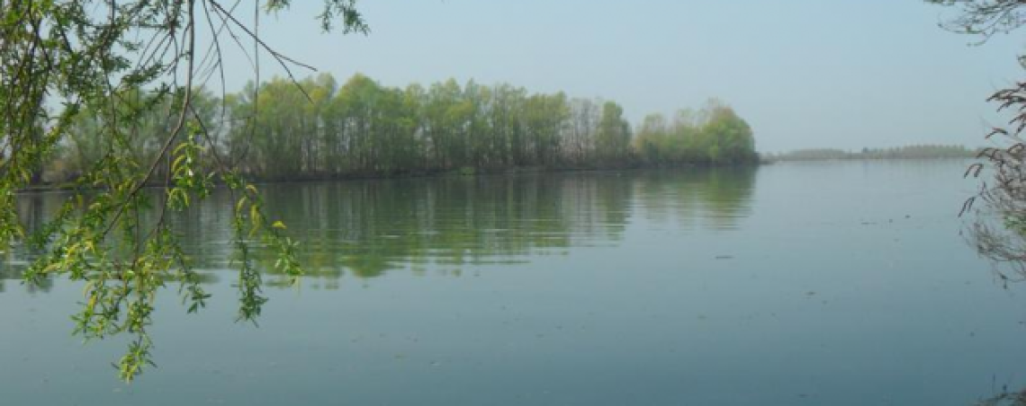 pesca po