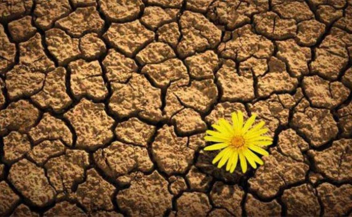 resilienza