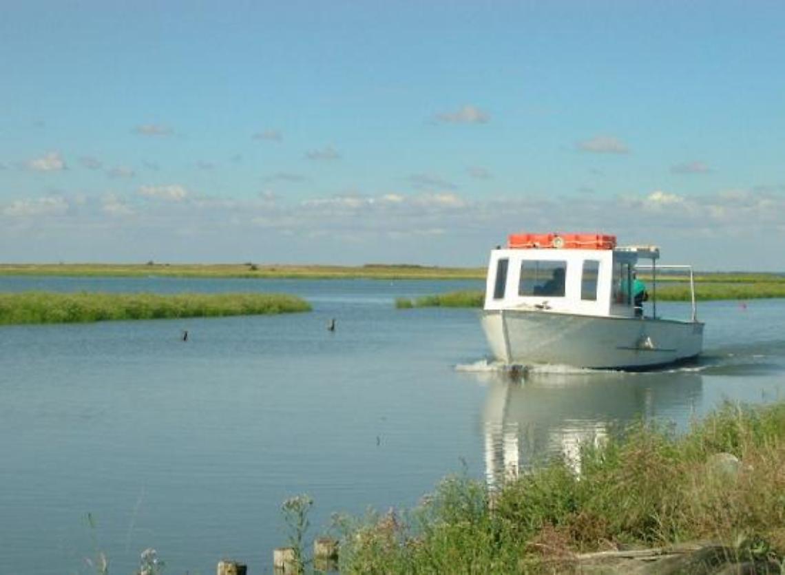 20101101125922navi nel delta