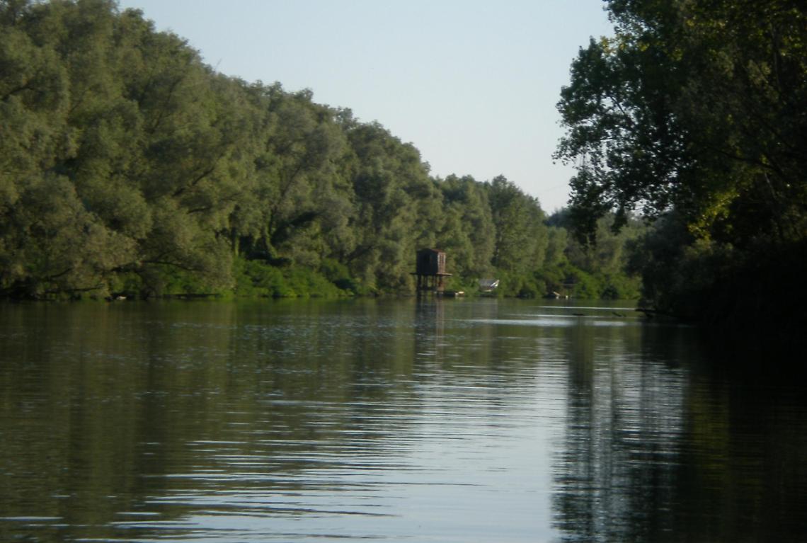 Parco delta del Po