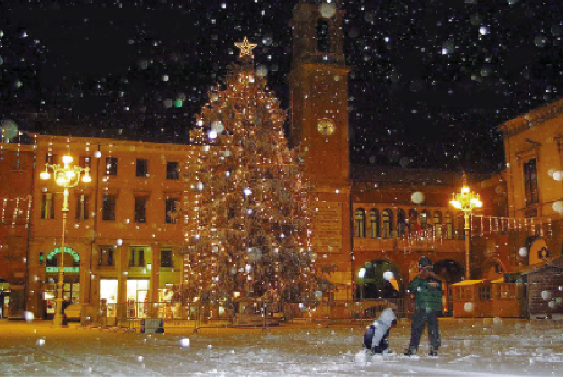 albero natale rovigo