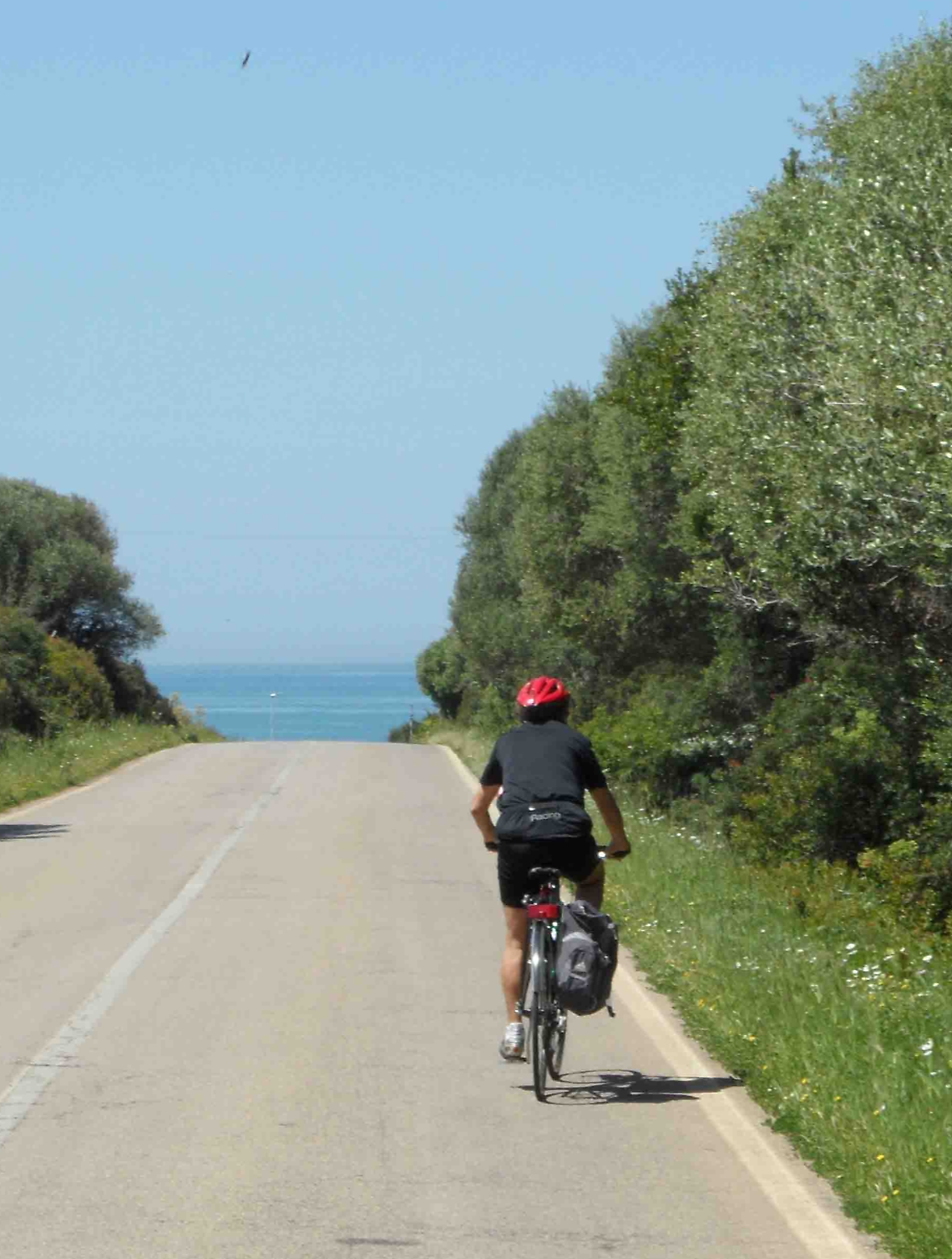 Ciclovia Venezia-Trieste, avanti tutta: aperti nuovi tratti tra Jesolo e Cavallino Treporti