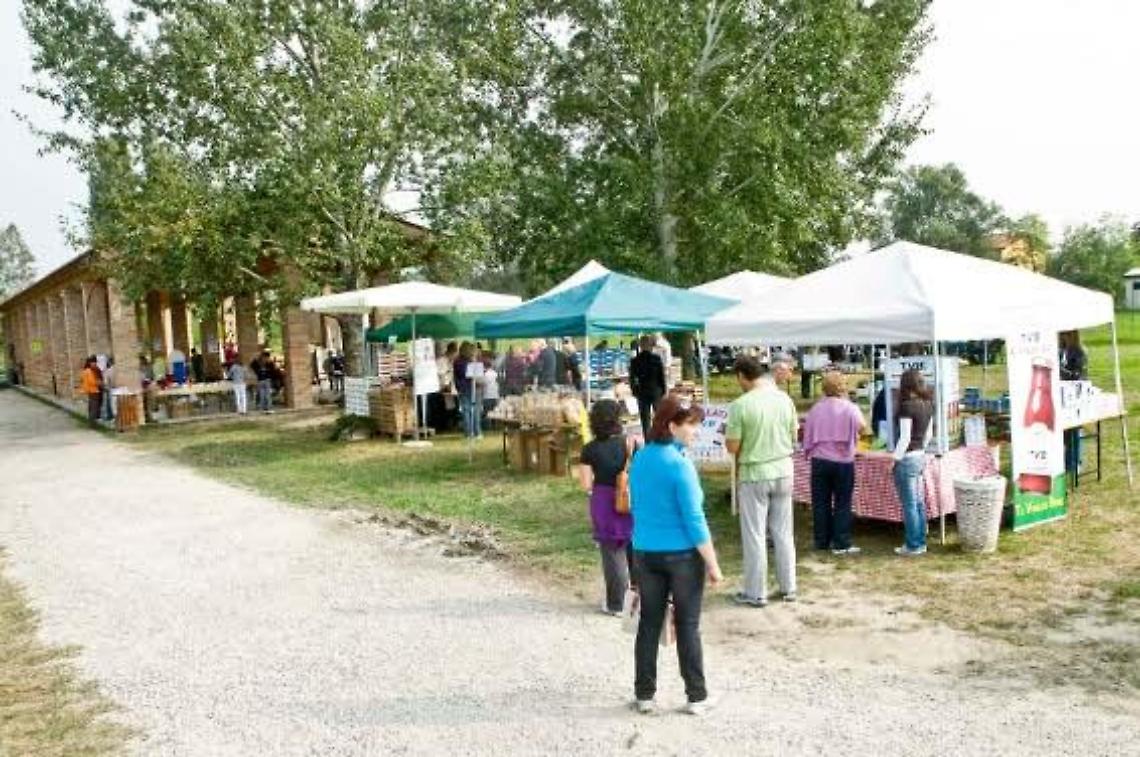 noventa fornace