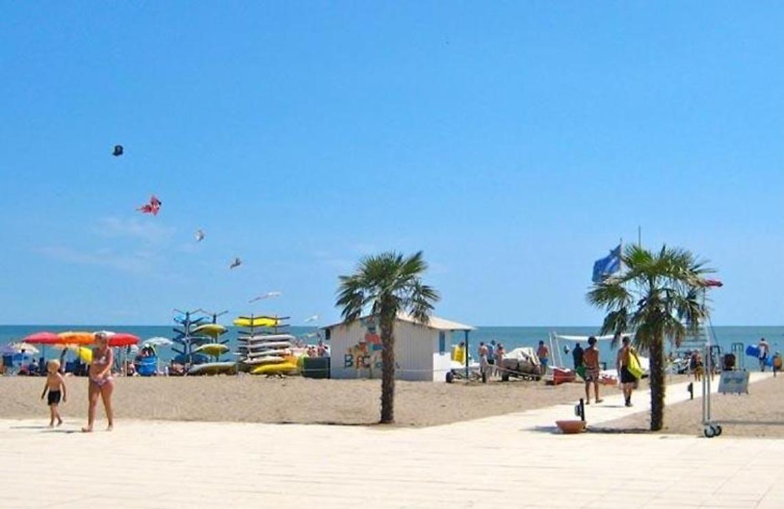 isolaverde-in-vacanza-con-i-delfini-delladriatico_8a247c18-14f8-11e5-b697-e292fceb87a6_700_455_big_story_linked_ima