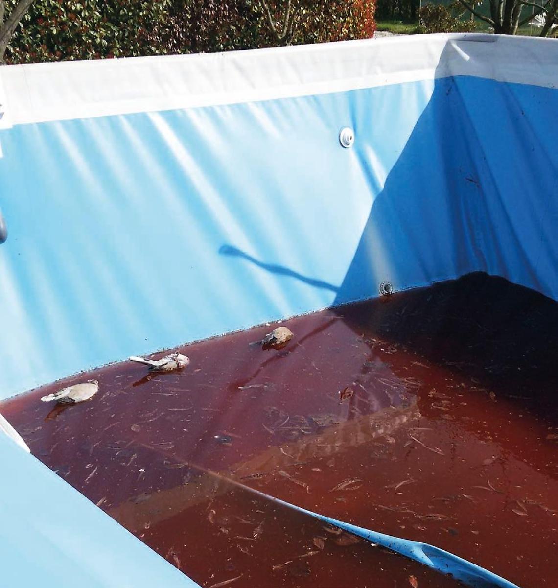 bovolenta acqua rossa