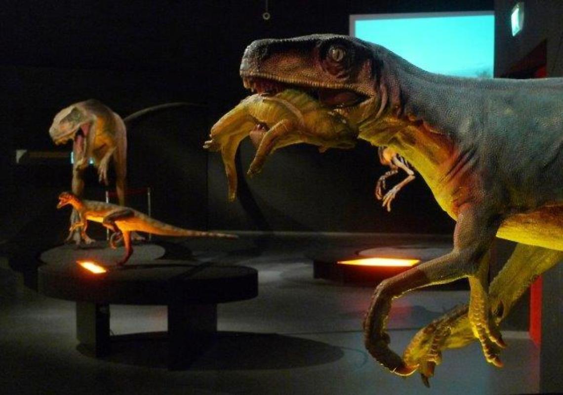 dinosauri padova