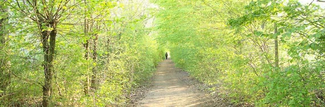 parco etnografico rubano