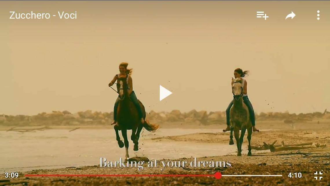 Video Zucchero_Chiara Angelini Barricata Holiday Village_spiaggia Conchiglie