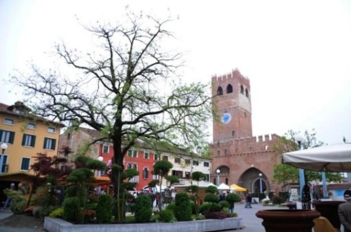 centro noale
