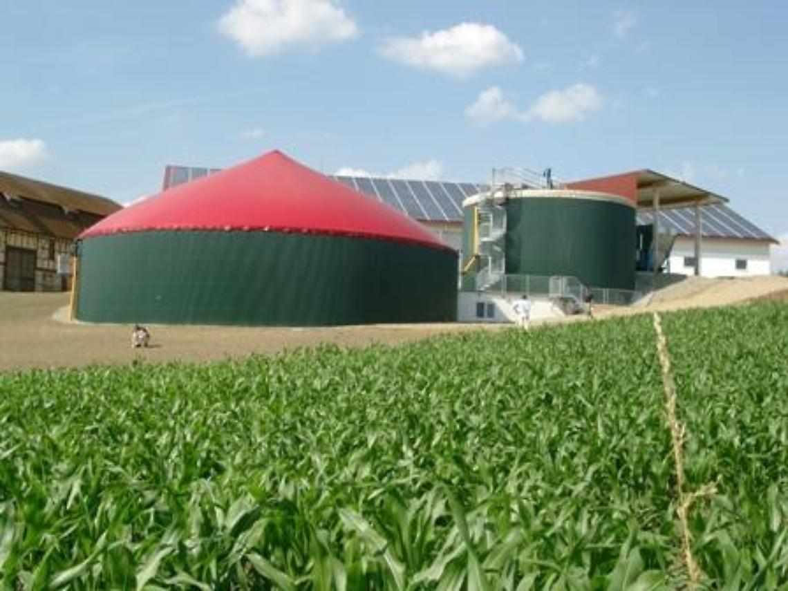 biogas
