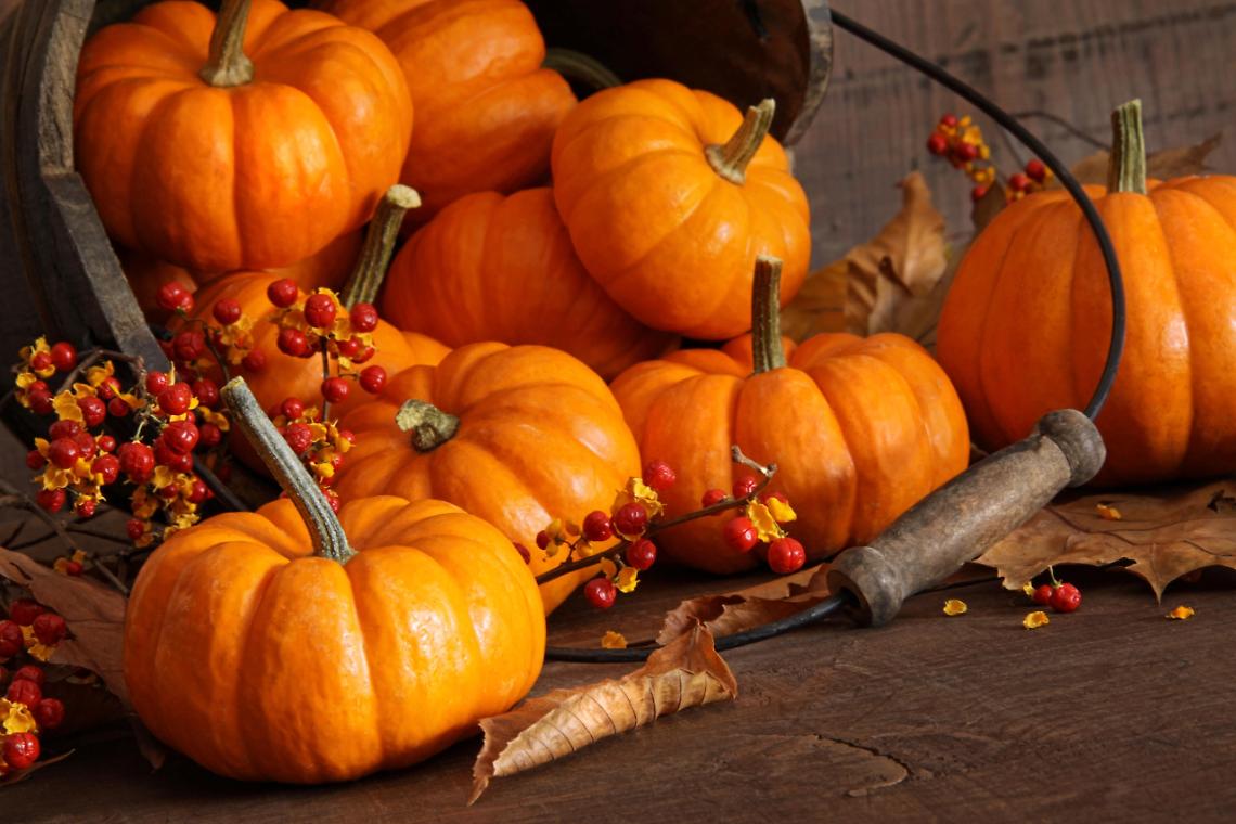 Festa d'autunno tra grigliate e zucche: a Bussolengo la gara di barbecue più grande di Verona