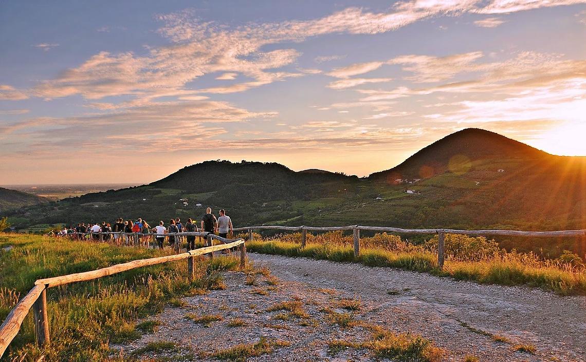 Parco dei Colli Euganei, 300 mila euro dalla Regione per contenere l’emergenza cinghiali