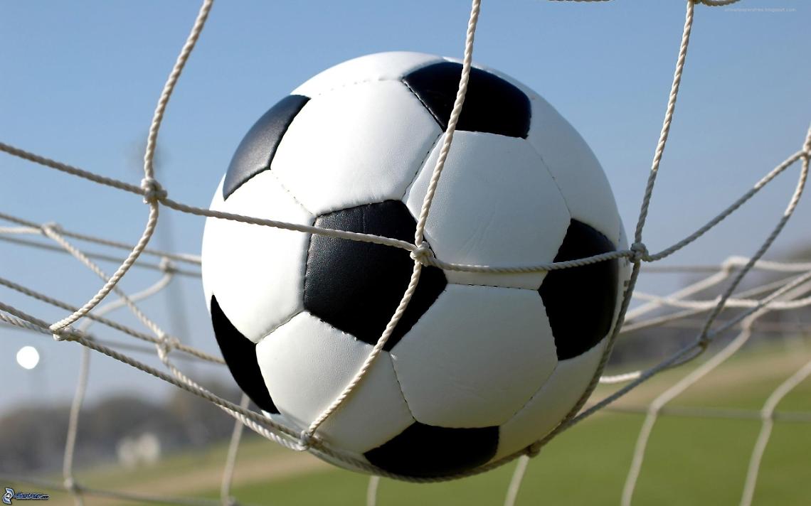 pallone da calcio