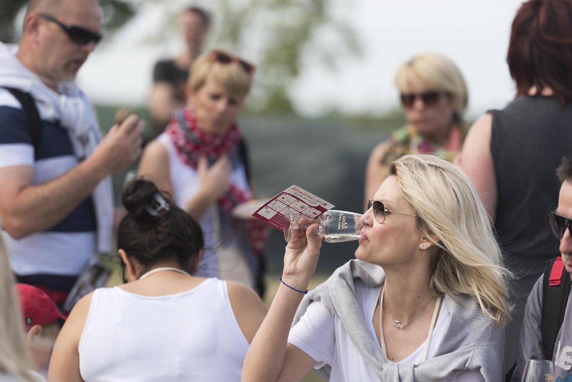 istria-wine-walk-2b-istria