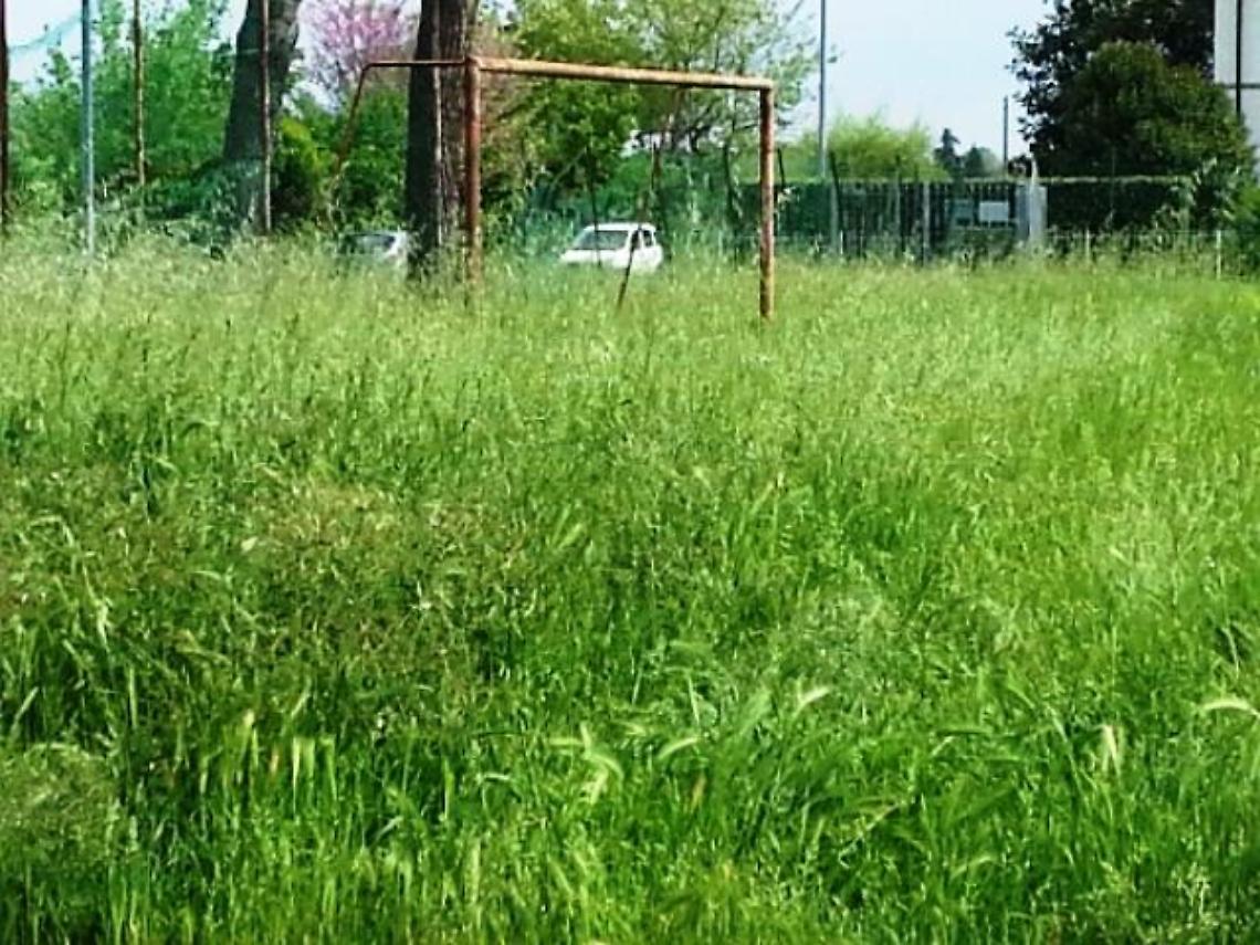 campo-sportivo