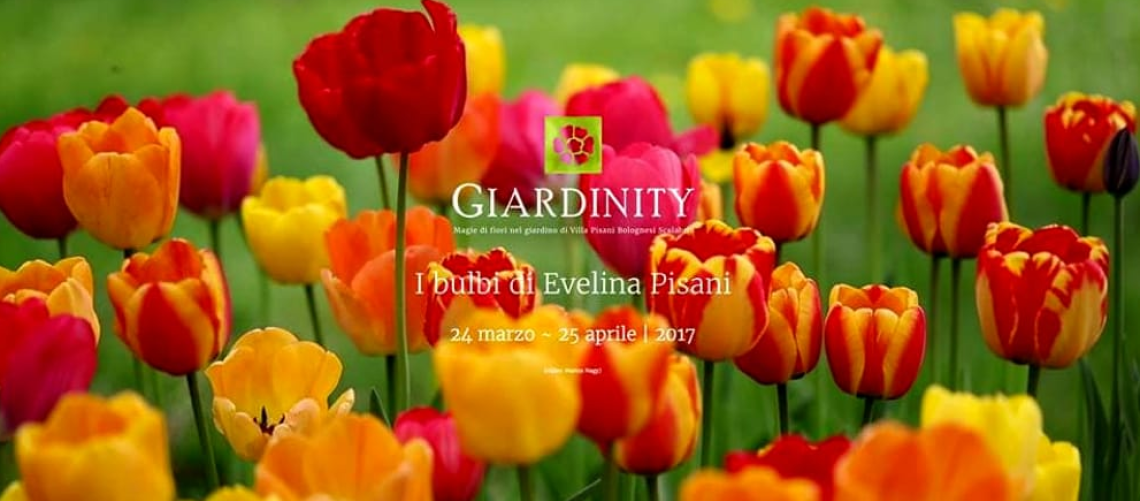 giardinity