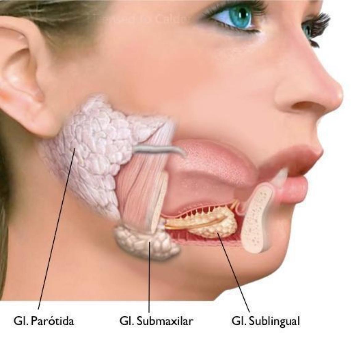 saliva_5717_orig