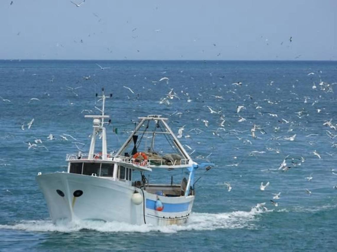 pesca-13