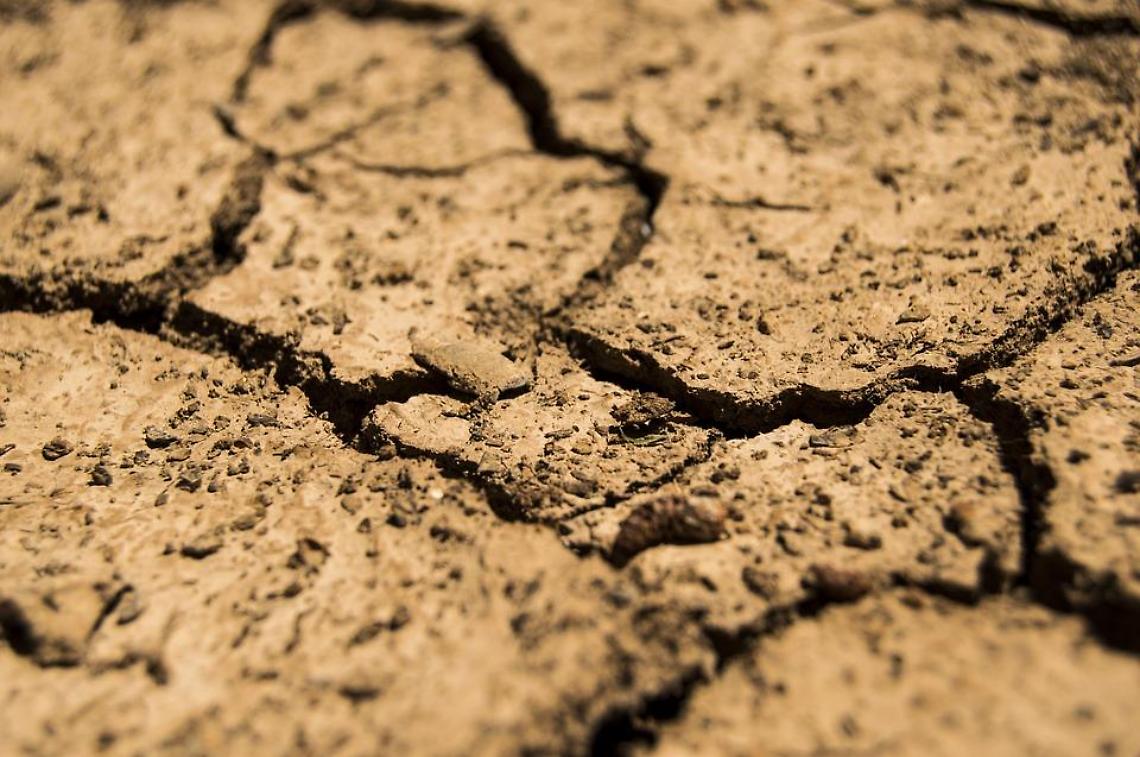 17 giugno, Giornata Mondiale della Siccità: La Terra che Chiede Aiuto nell’Era del Cambiamento Climatico