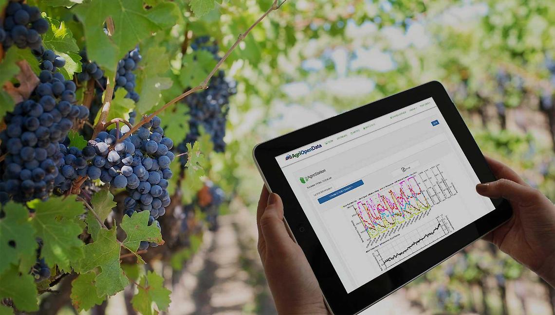 EZLab_agriopendata
