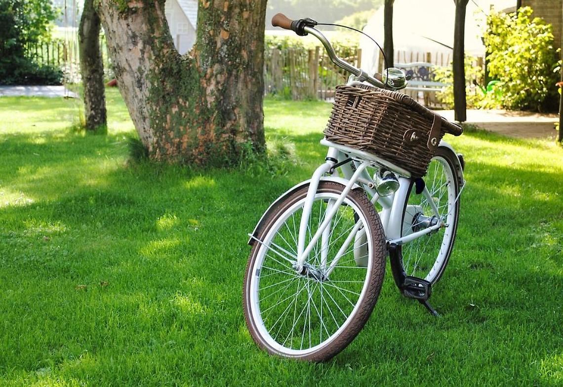 bici