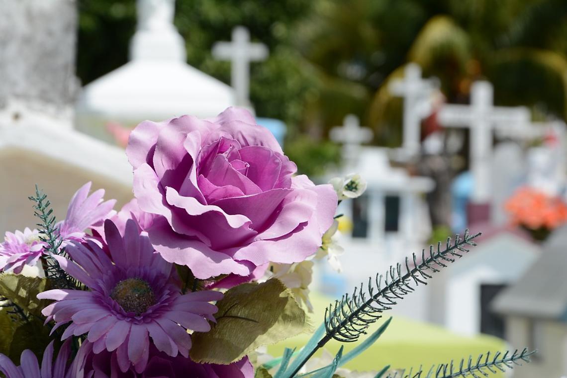 cimitero fiori