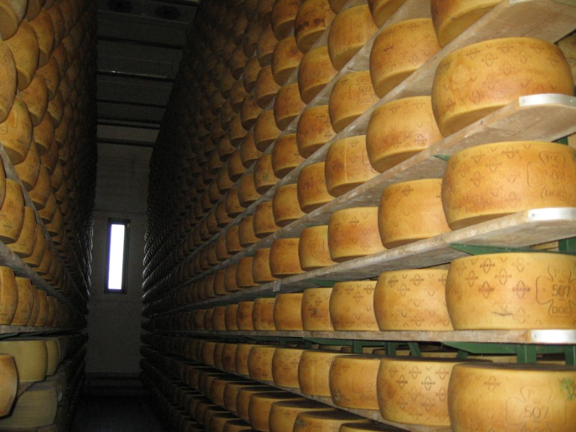 grana padano