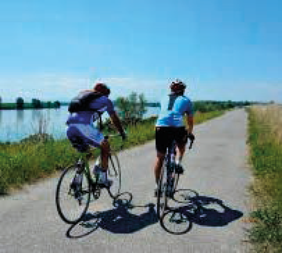 bicicletta