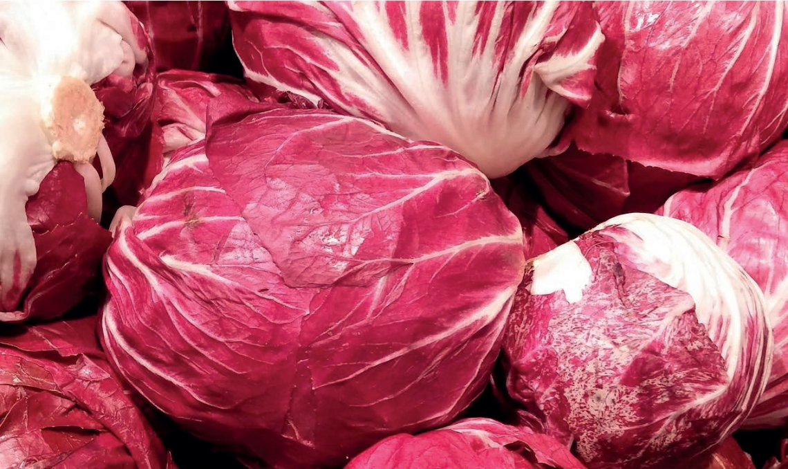 cavolo rosso