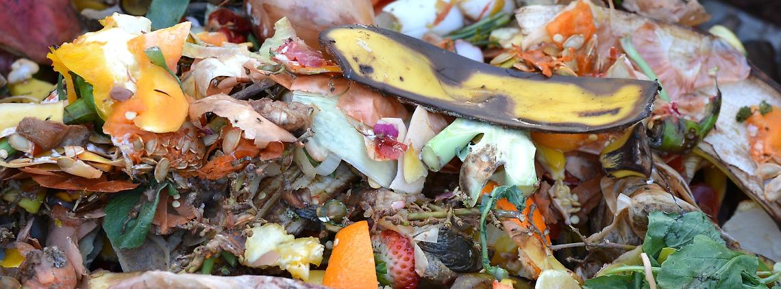 compost-709020_1920(1)