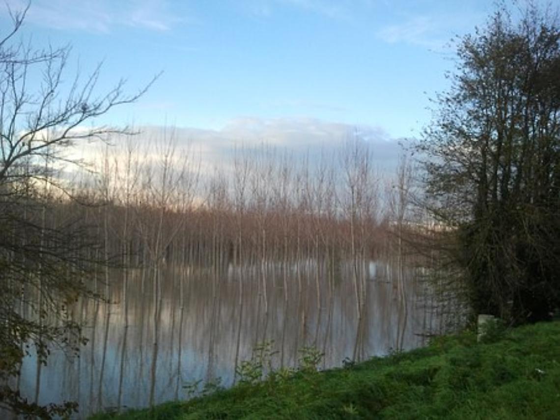 delta del po