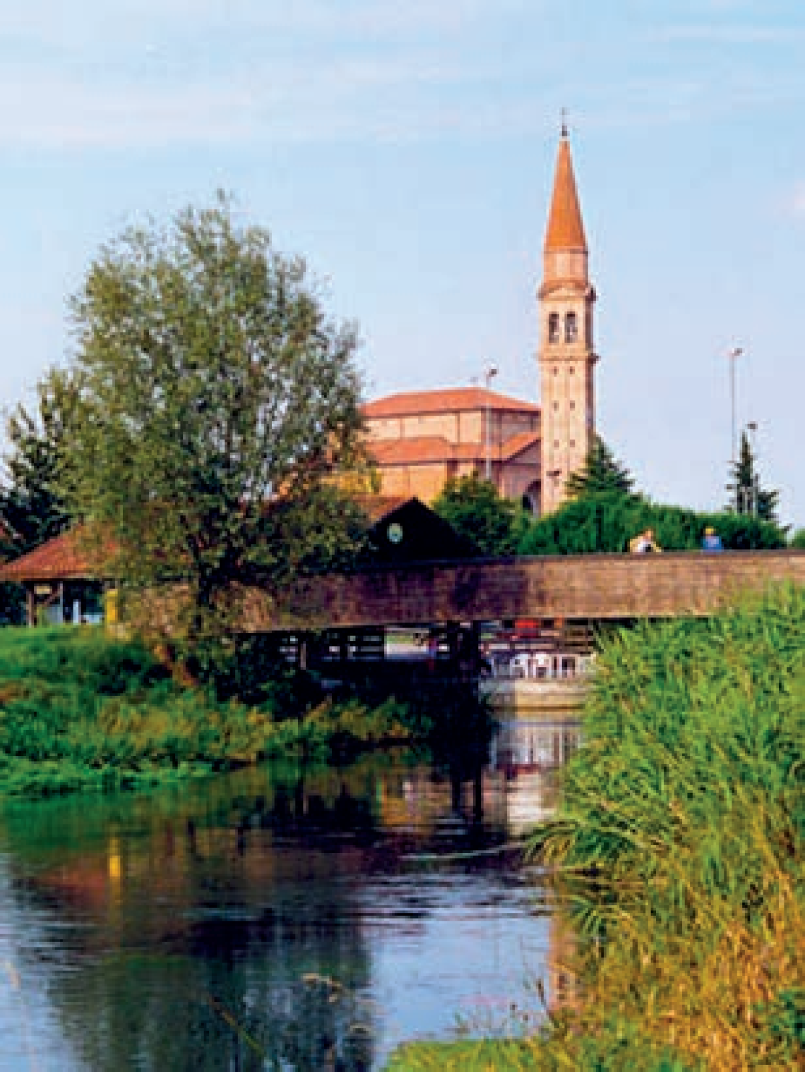 morgano