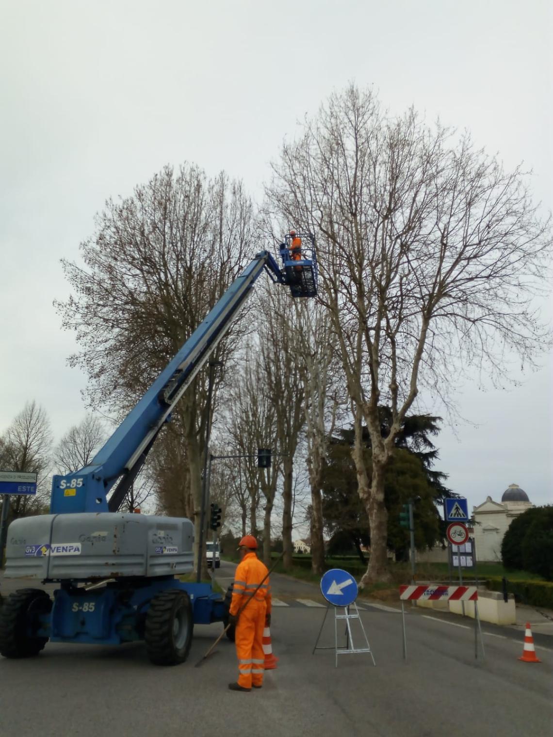 potature via augustea marzo 2019_2