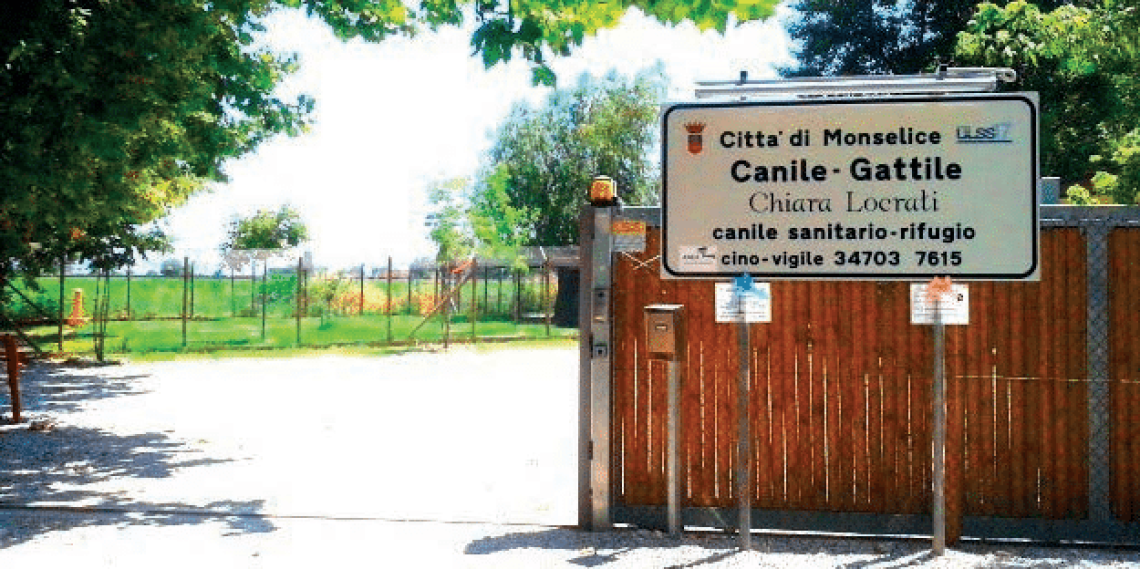 canile monselice