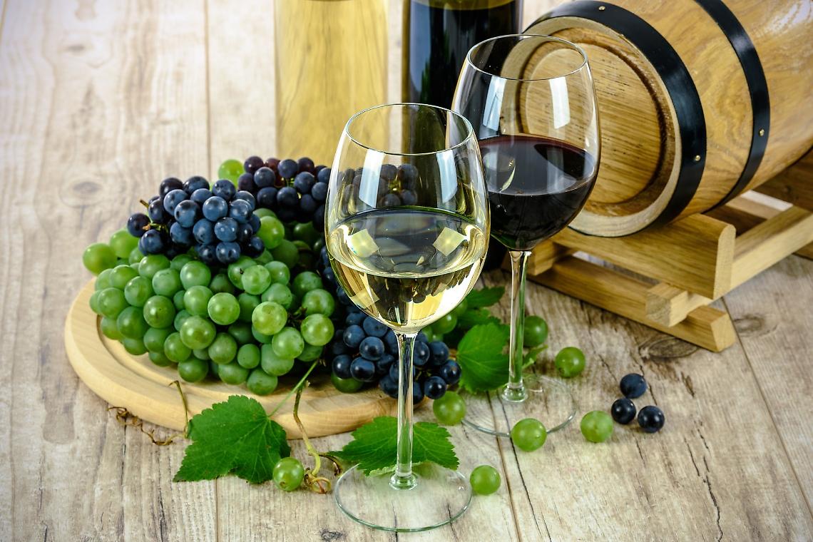 Il Soave protagonista a Verona: torna l’evento che celebra l’eccellenza del vino bianco italiano