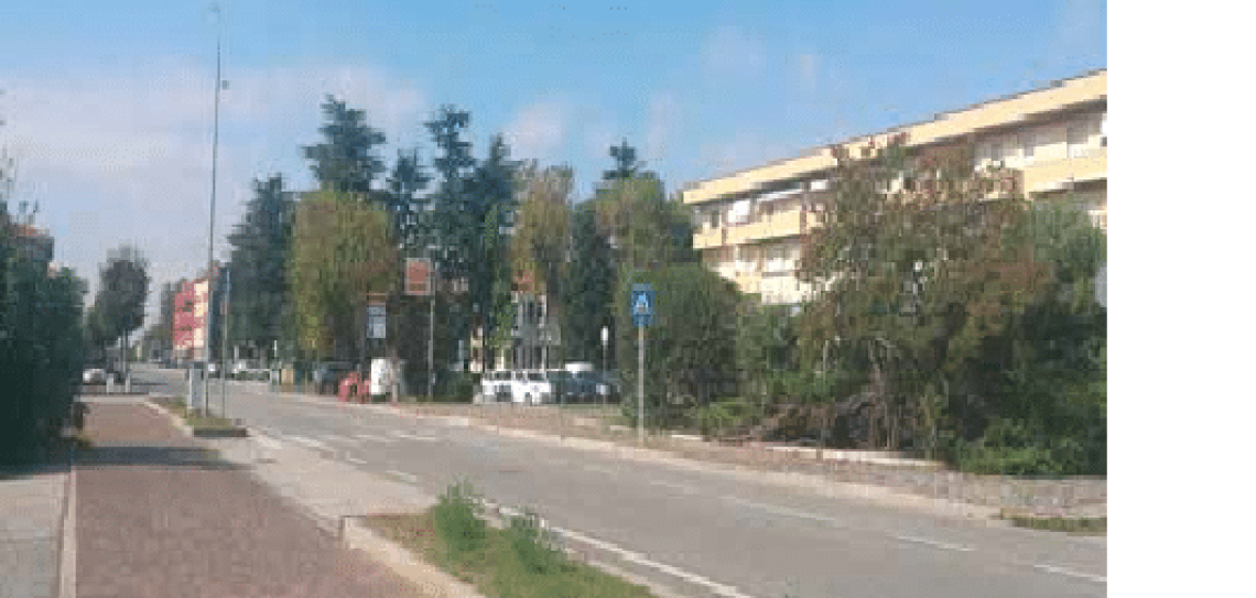 maria-di-sala
