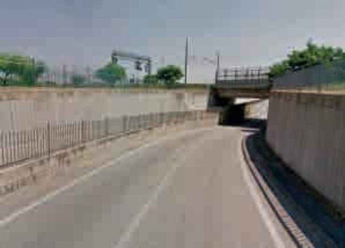 schiavonia