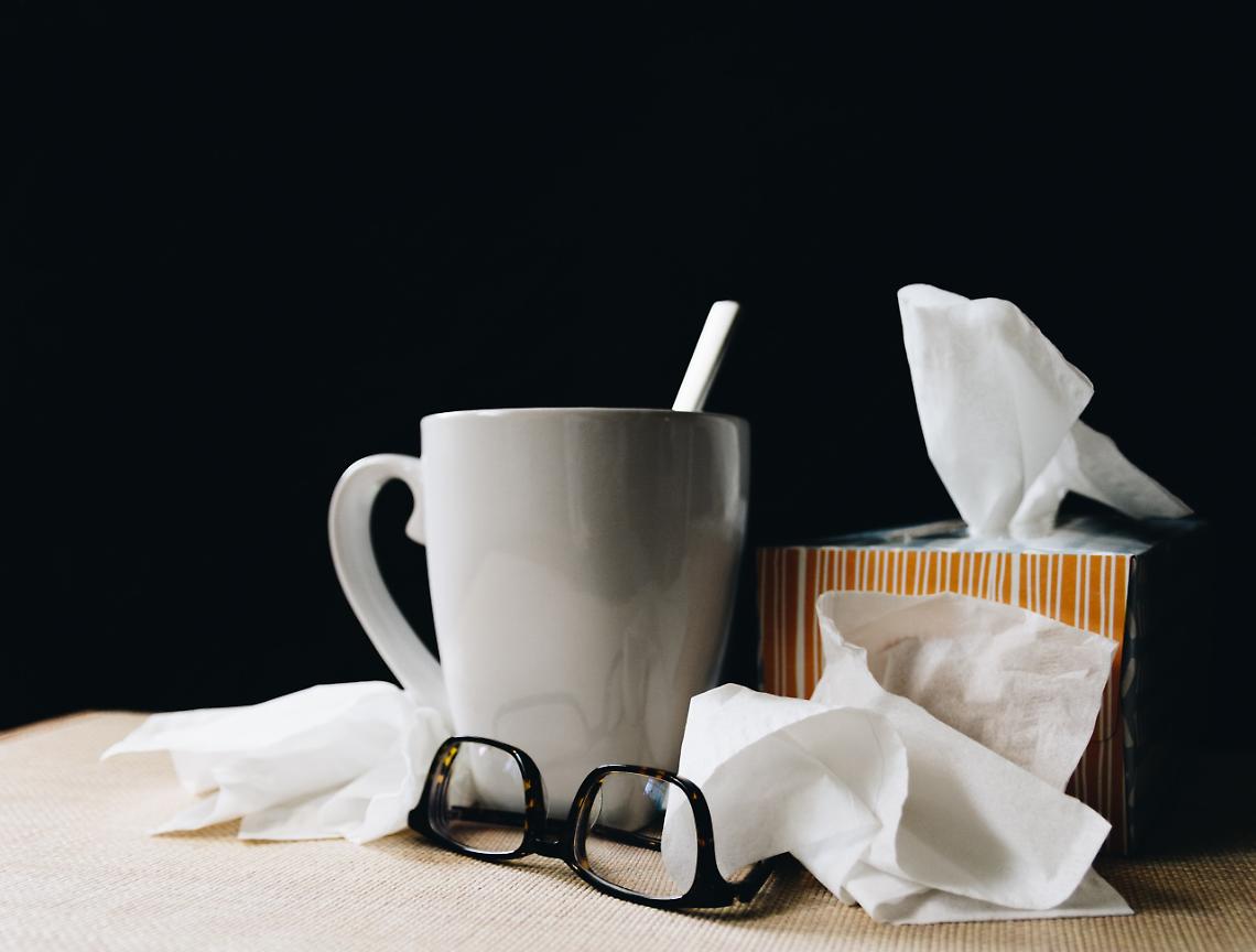 influenza veneto