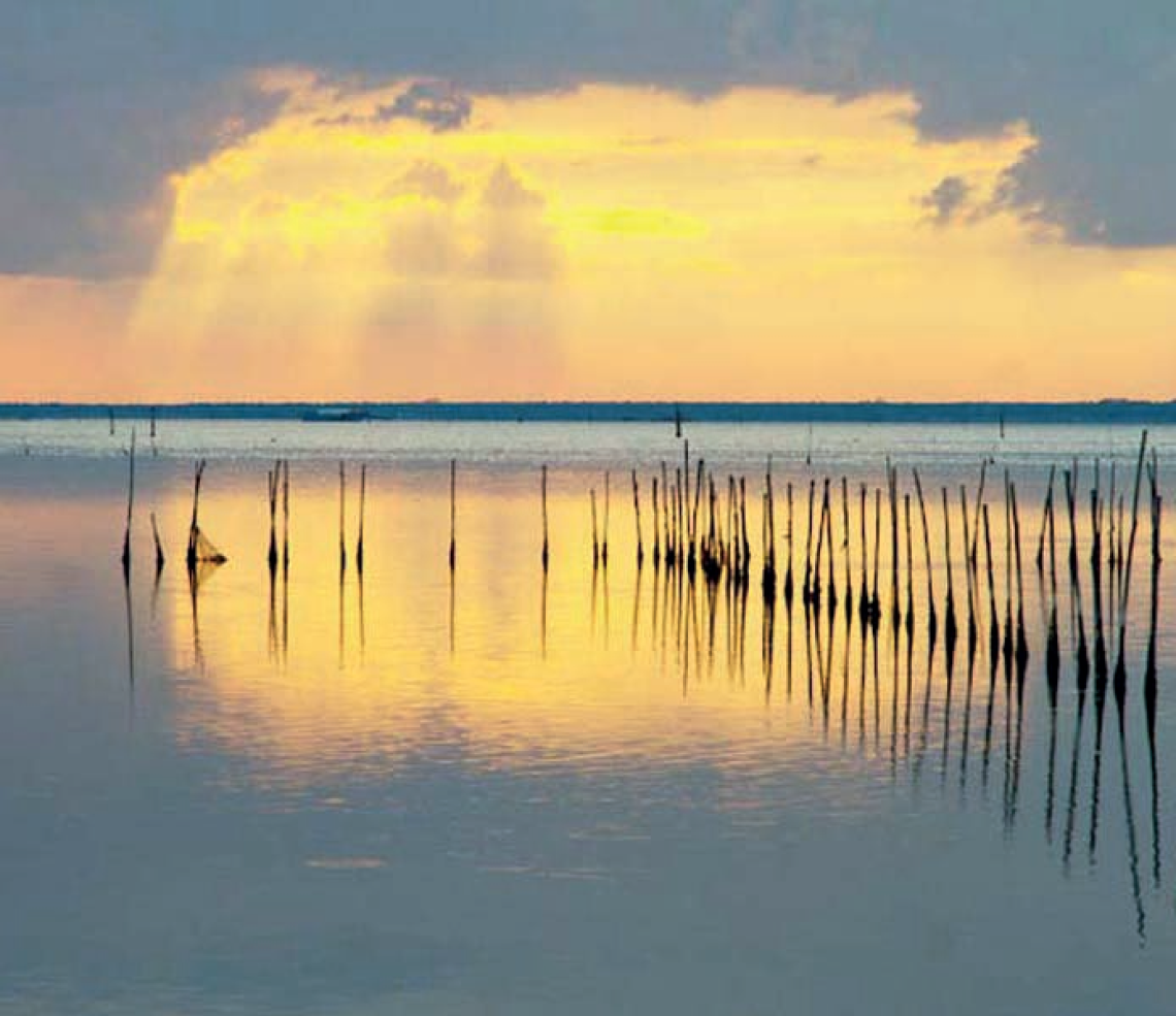 laguna venezia