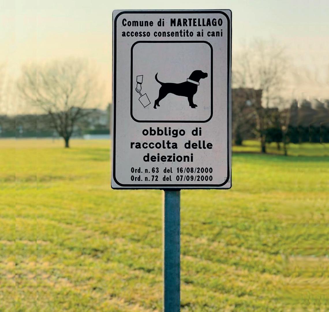 martellago multe animali